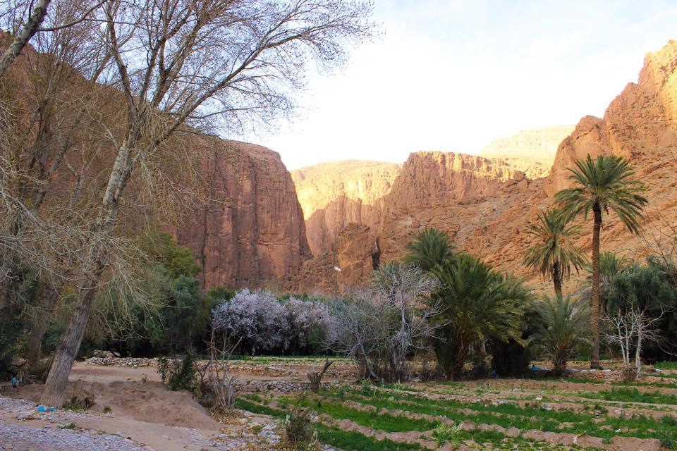 Dar Ayour Todra Gorges Aït Baha Exterior foto
